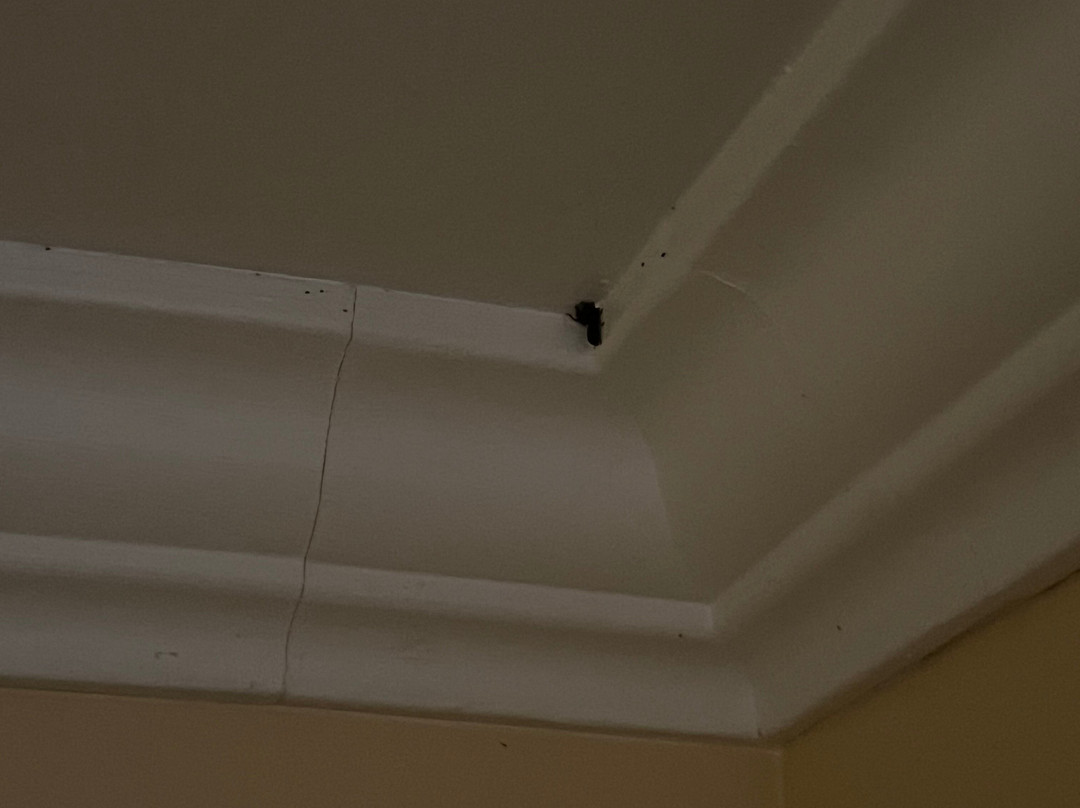 海景画海岸隐居酒店主图