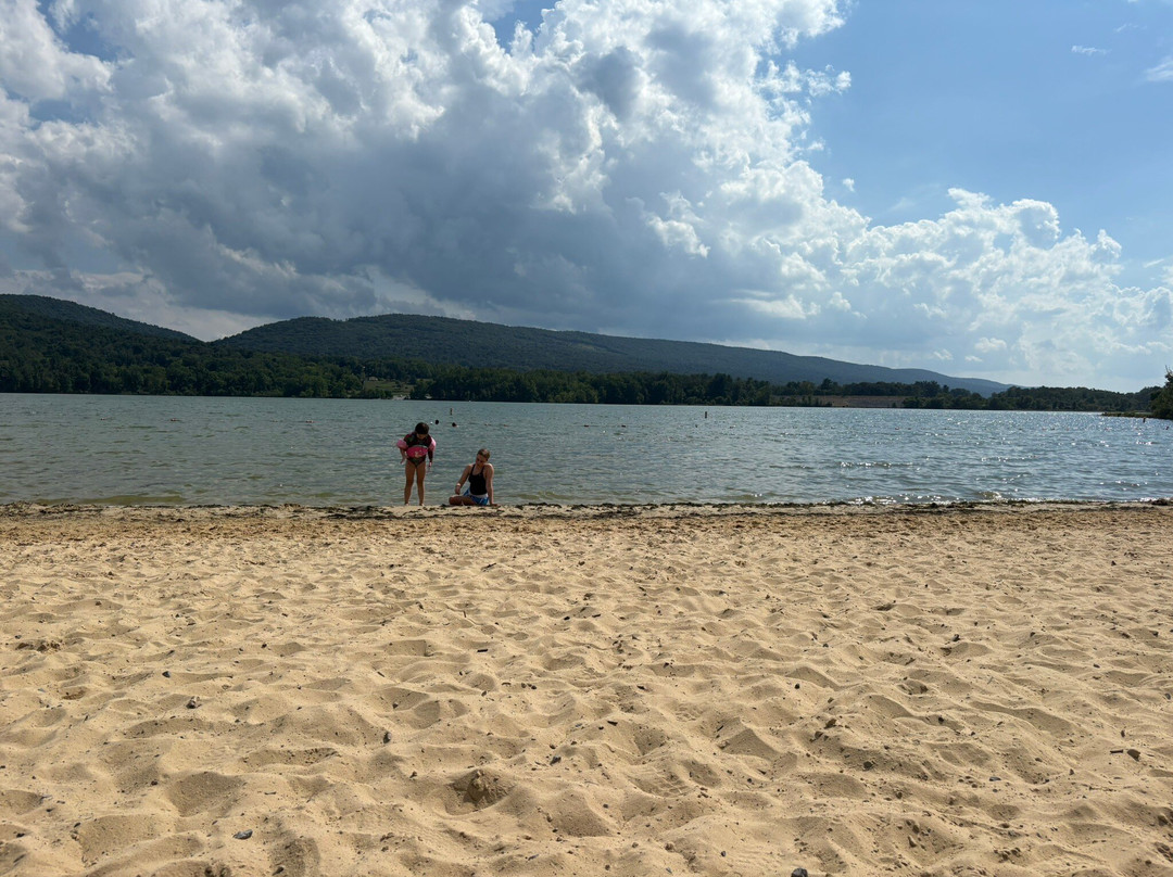 Bald Eagle State Park-Howard必去景点