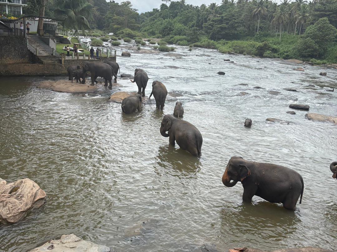 Sri Lankan Safe Tours-Kirindiwela必去景点