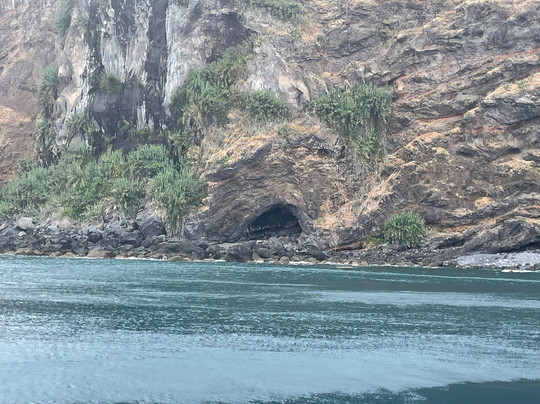 Living Sea Boat Trip-沙尔必去景点