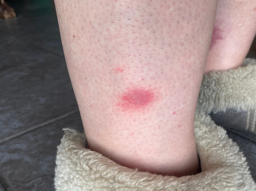 Val De Vine Guesthouse主图