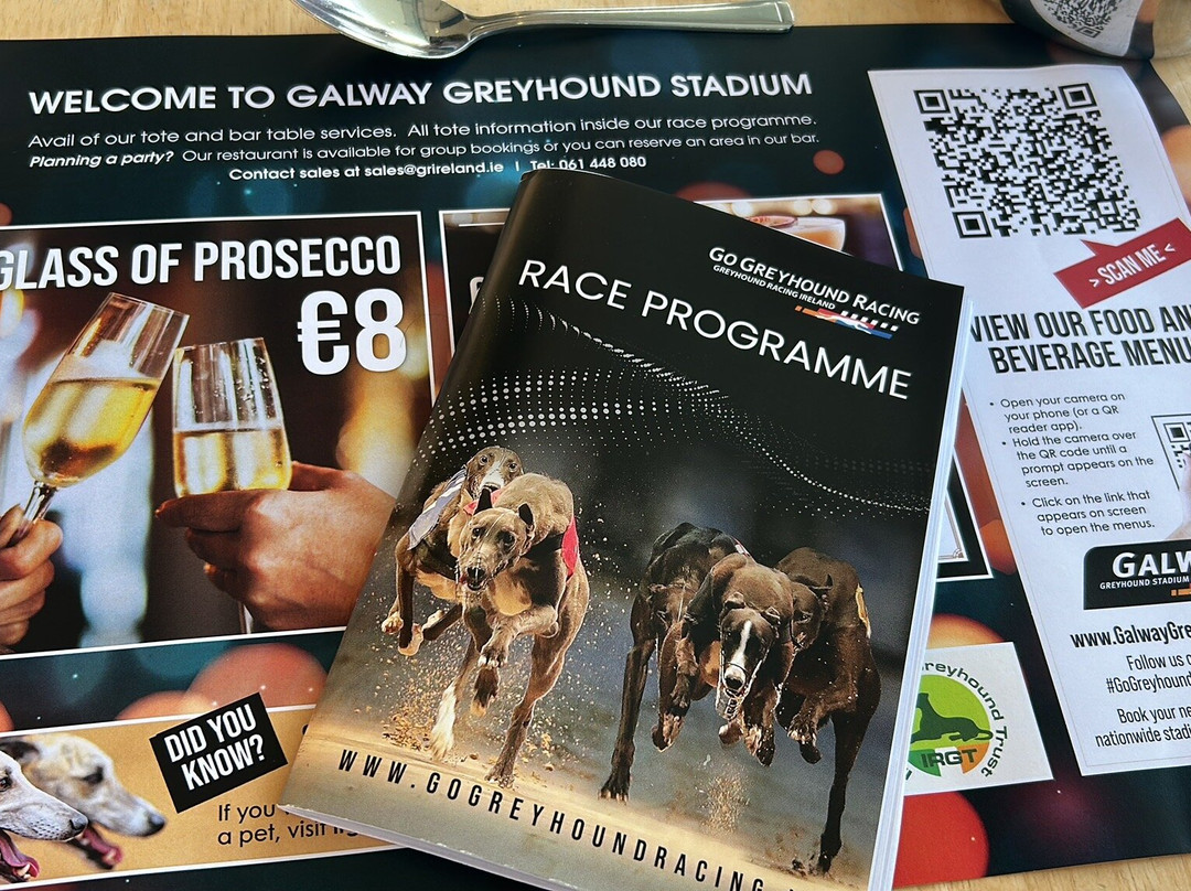 Galway Greyhound Stadium-戈尔韦必去景点