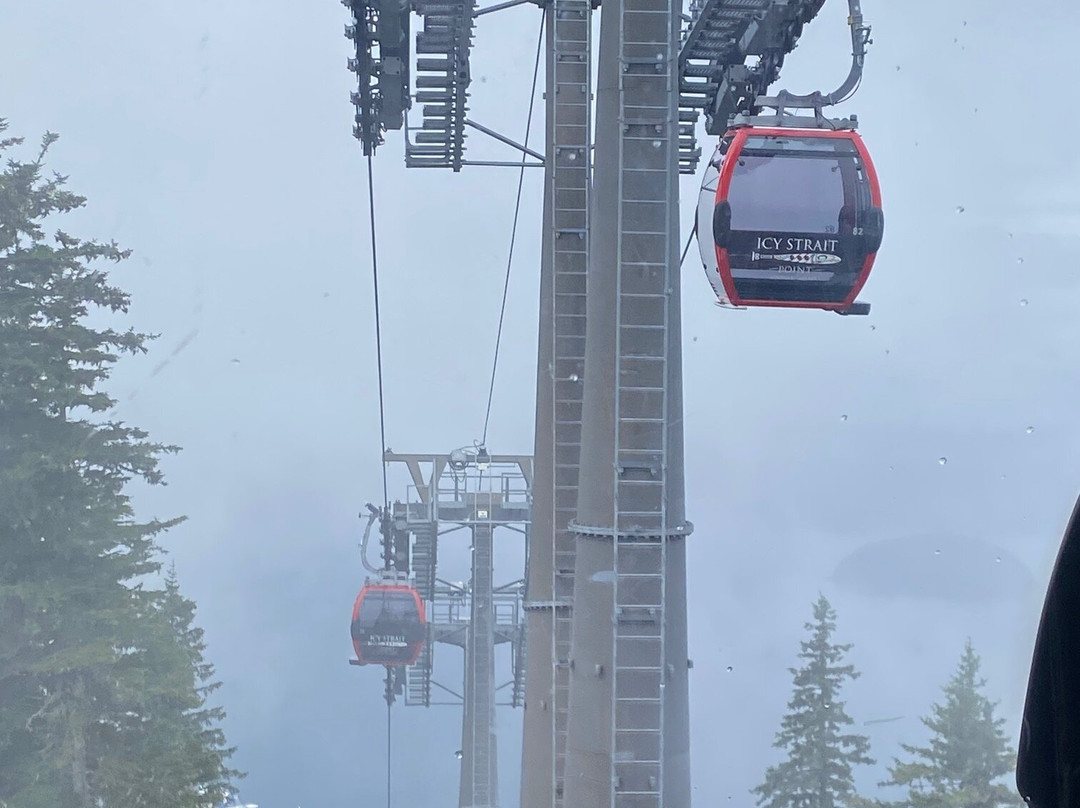 Skyglider Gondola