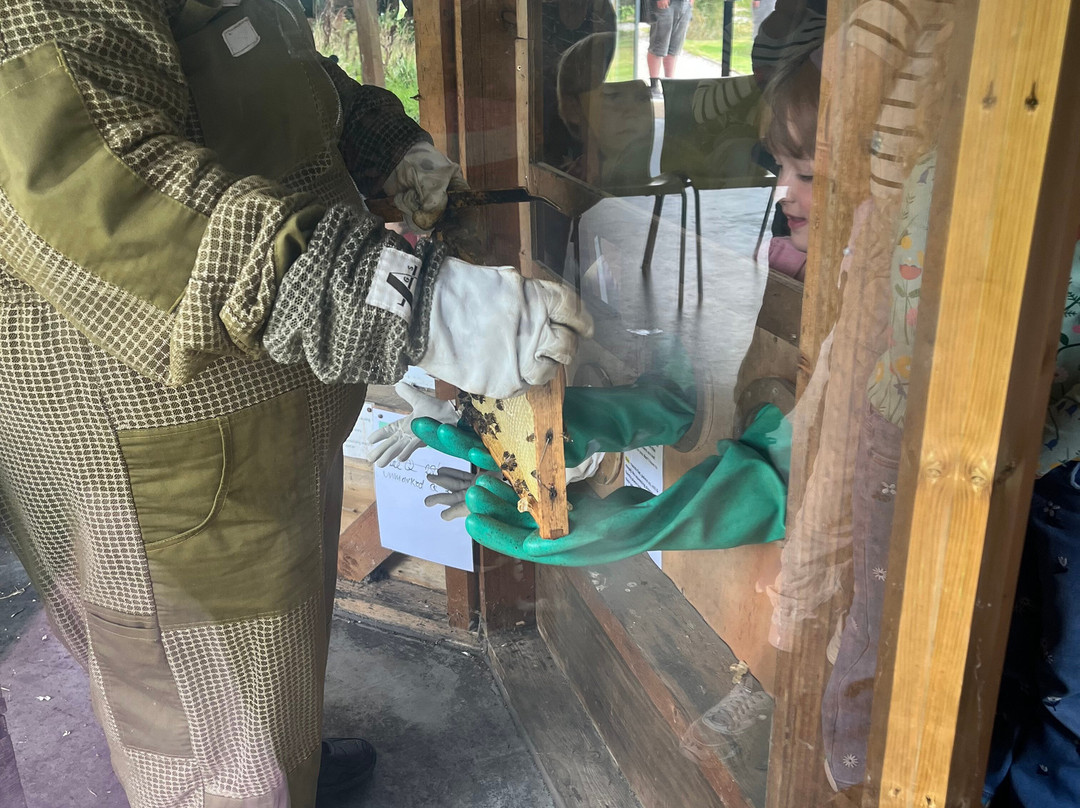 Quince Honey Farm-South Molton必去景点