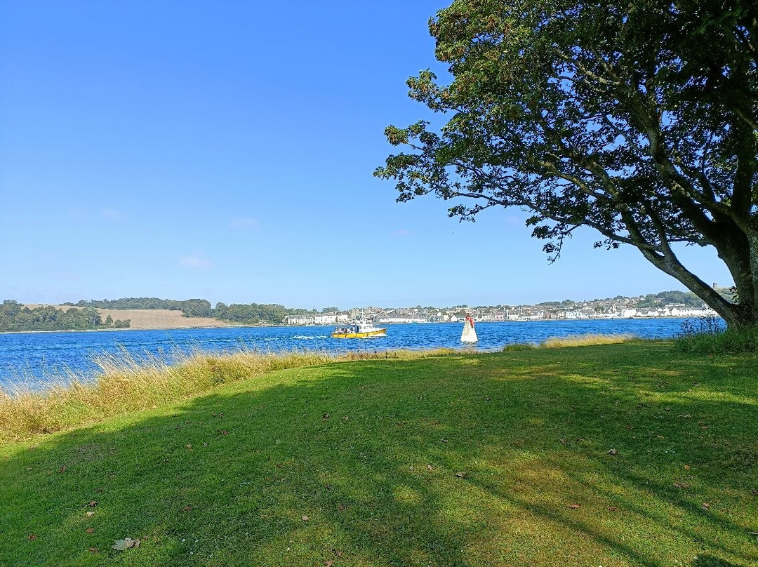 Strangford Bay Alpacas-Strangford必去景点