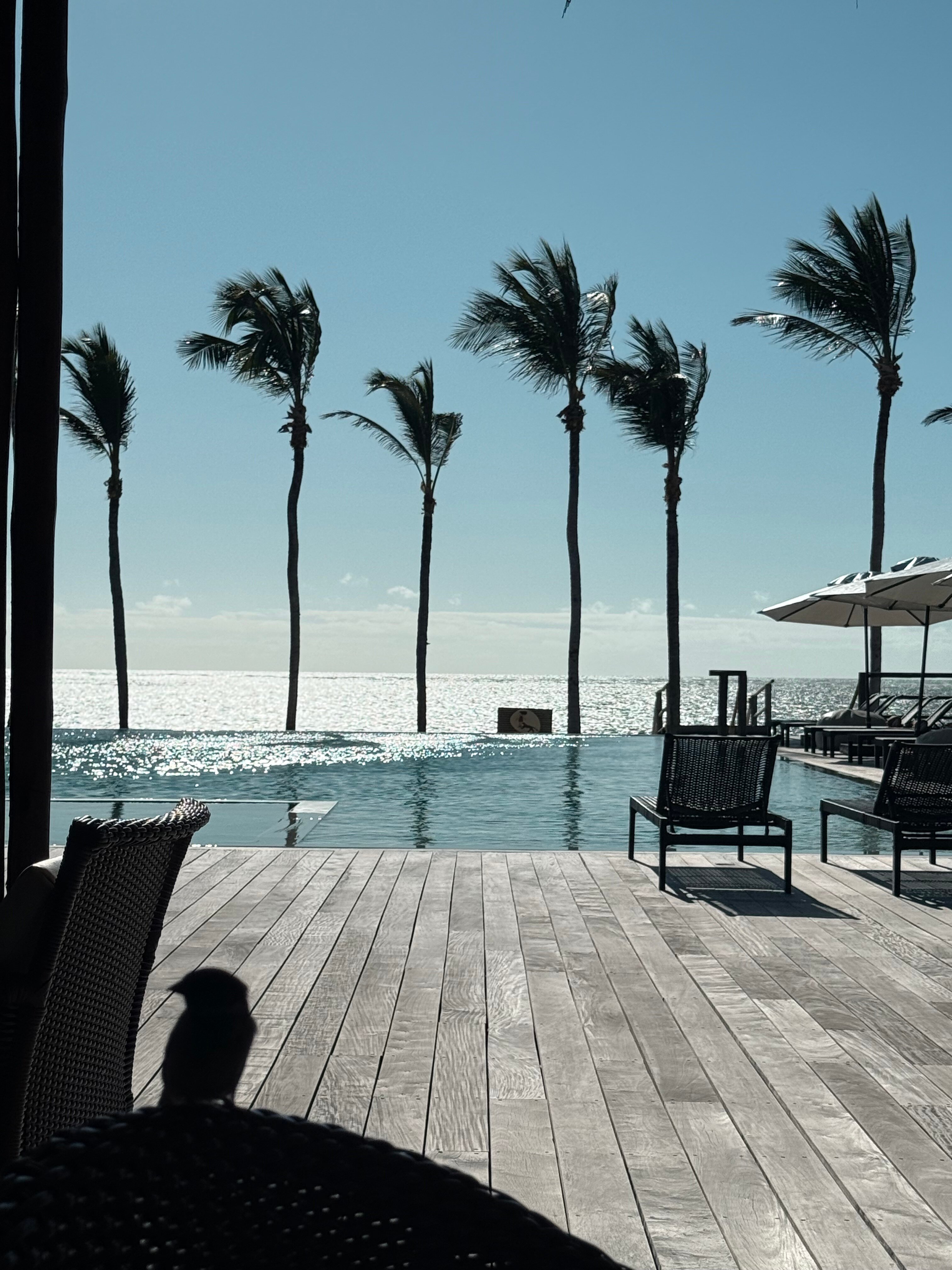 Hotel Jaguaríndia Village-官方