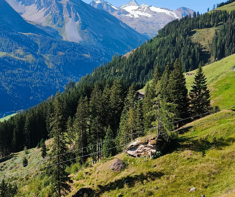 Hotel Tirolerhof主图