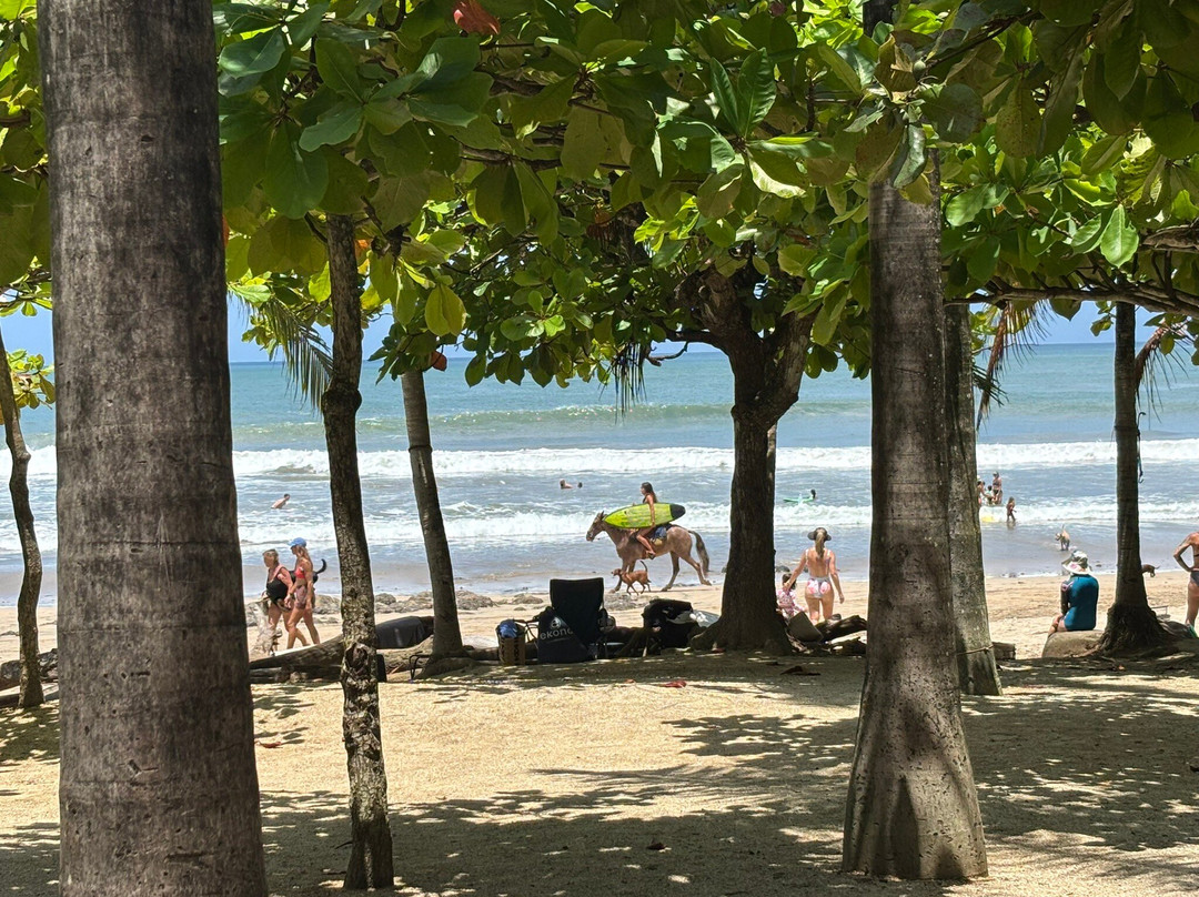 Avellanas Surf School-Playa Avellanas必去景点