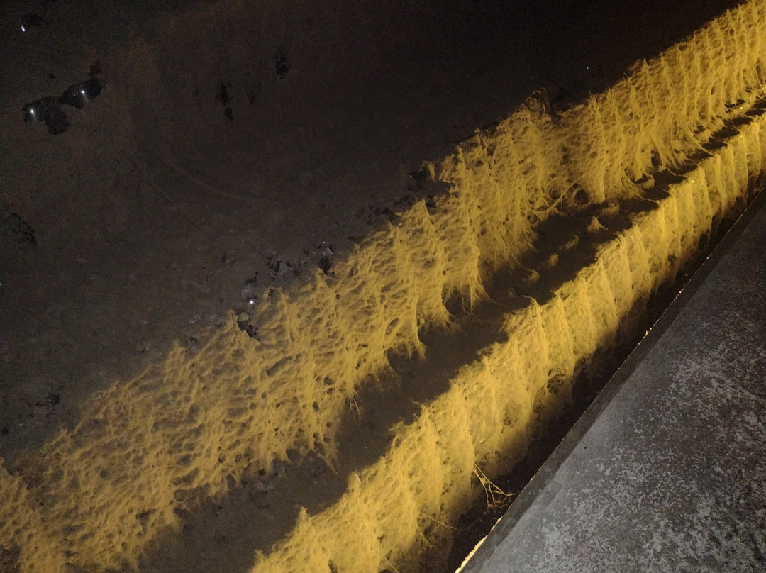 Caves Messias-梅阿利亚达必去景点