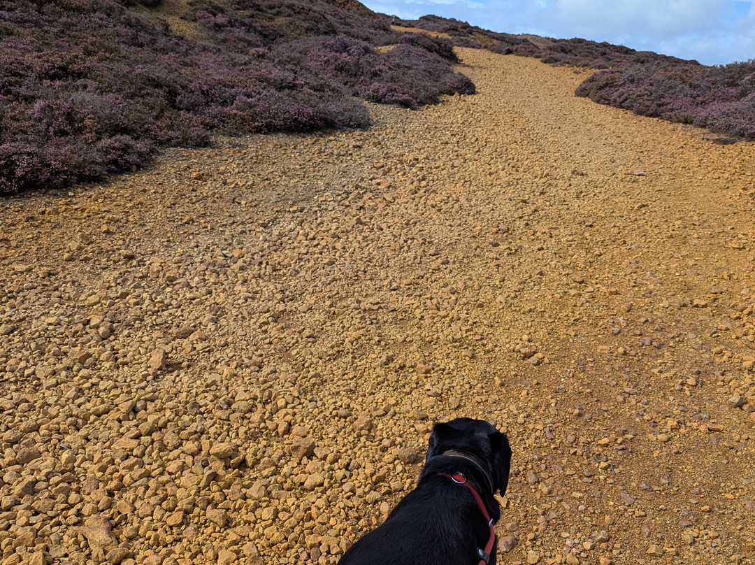 Parys Mountain-Amlwch必去景点