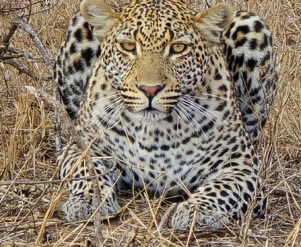 On Safari Africa-雾观必去景点