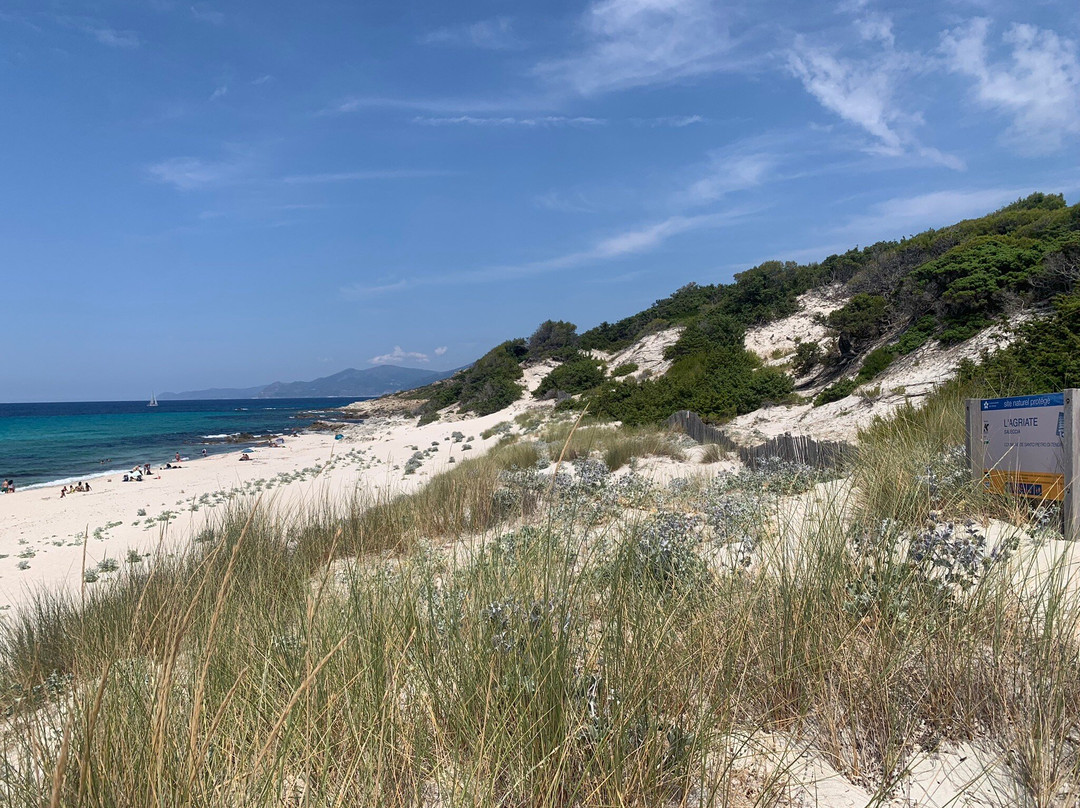 Taxi-plages-Saint Florent必去景点