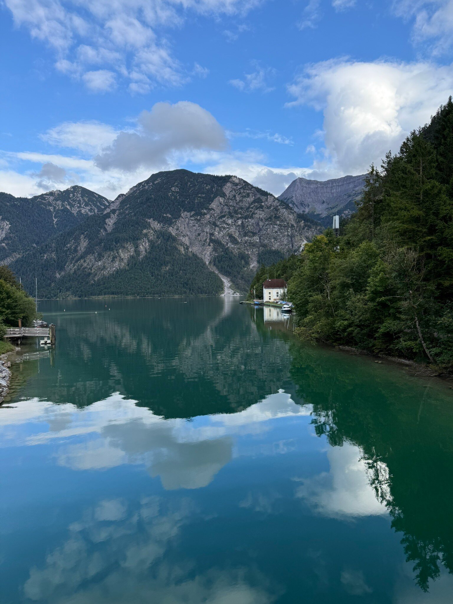 Hotel Forelle-官方