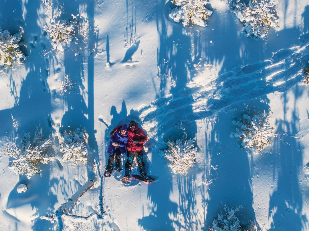 Tahko Safaris-Nilsia必去景点