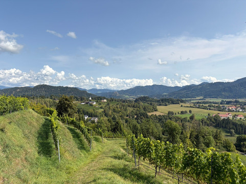 Weingut Taggenbrunn-Sankt Veit an der Glan必去景点