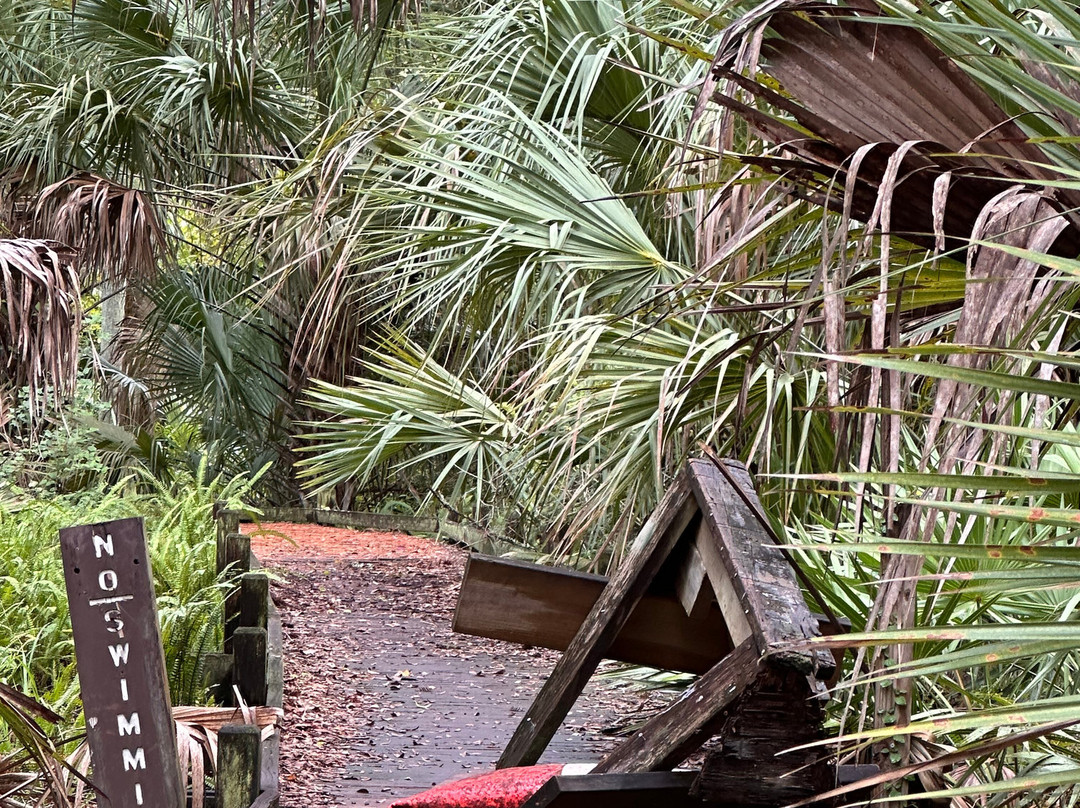 Juniper Springs Recreation Area-Silver Springs必去景点