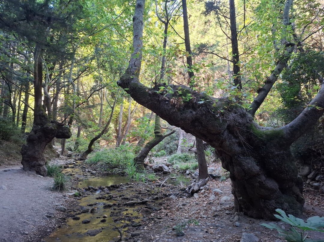Potami Waterfalls-Karlovasi必去景点