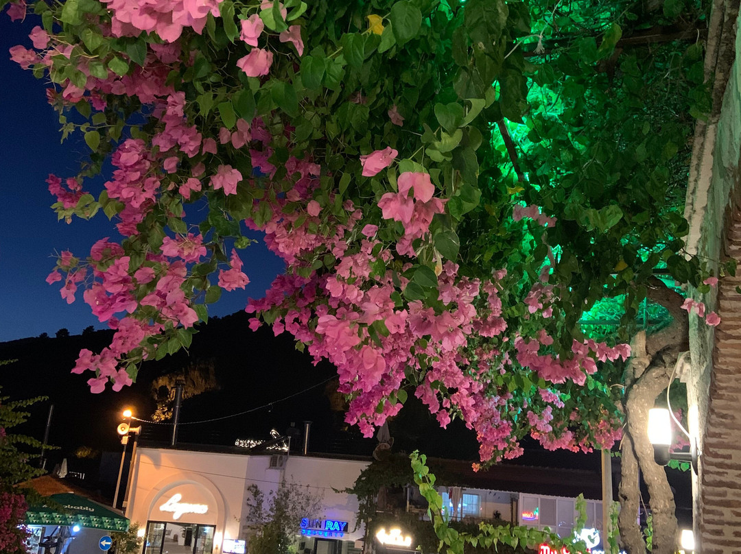 Grand Emir Hotel & Spa主图