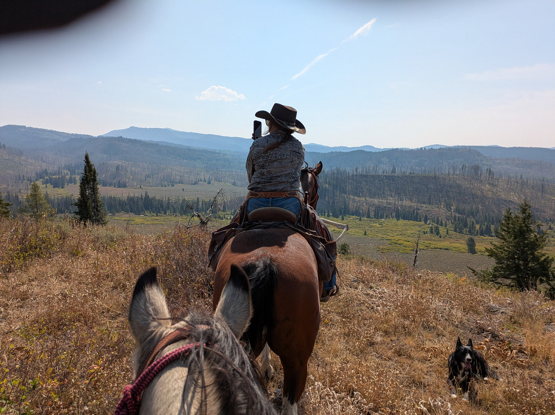 Little Jennie Ranch-Bondurant必去景点
