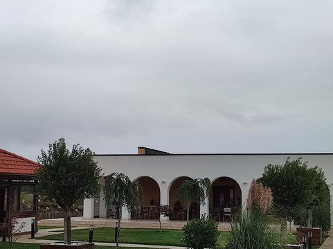 Licorna Winehouse-Mizil必去景点