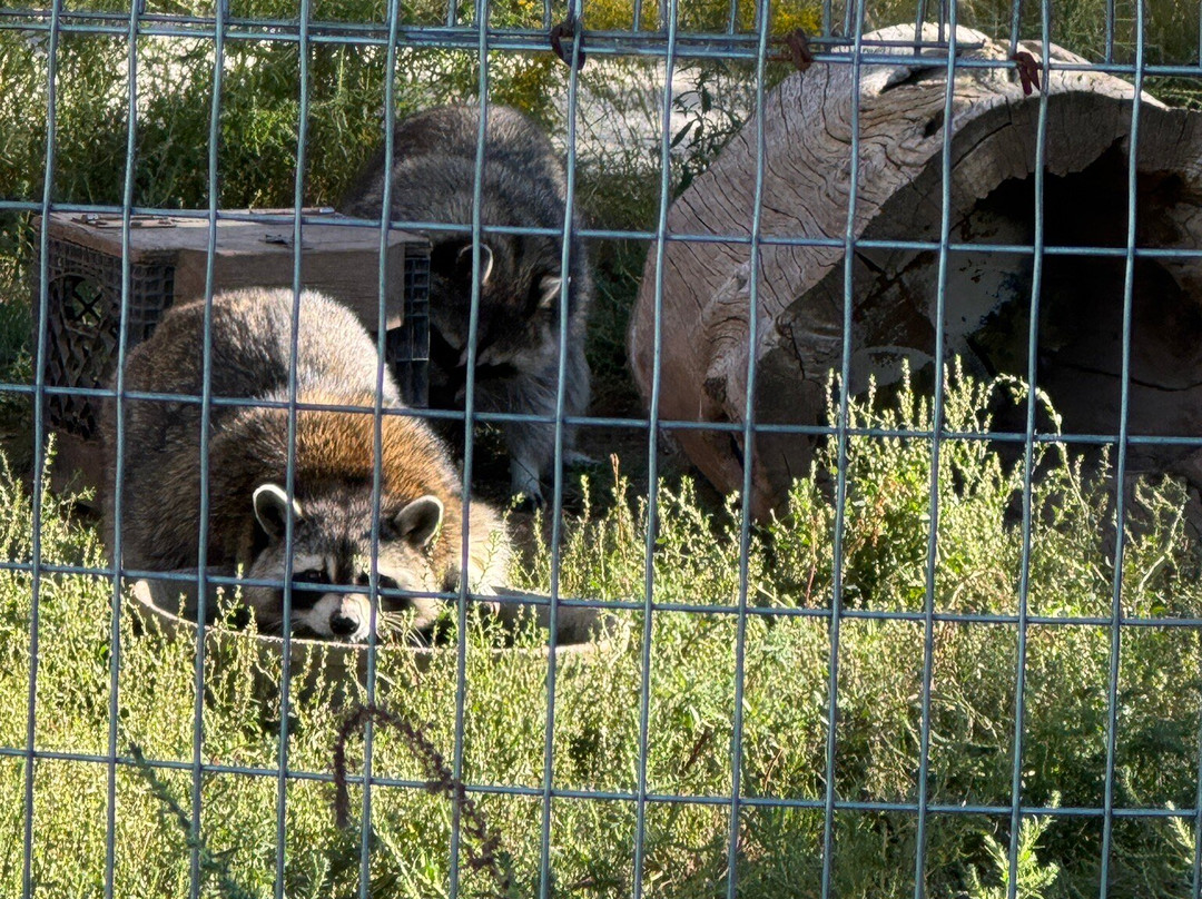 Wildlife West Nature Park-Edgewood必去景点
