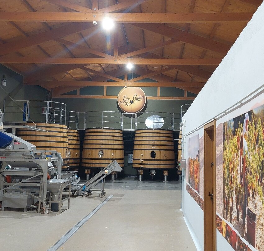 Bodegas Luis Canas-比利亚布纳德阿拉瓦必去景点