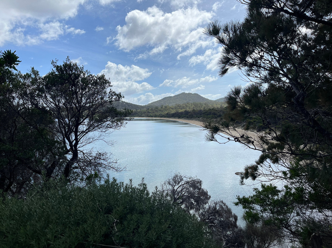 Richardsons Beach-科尔斯湾必去景点