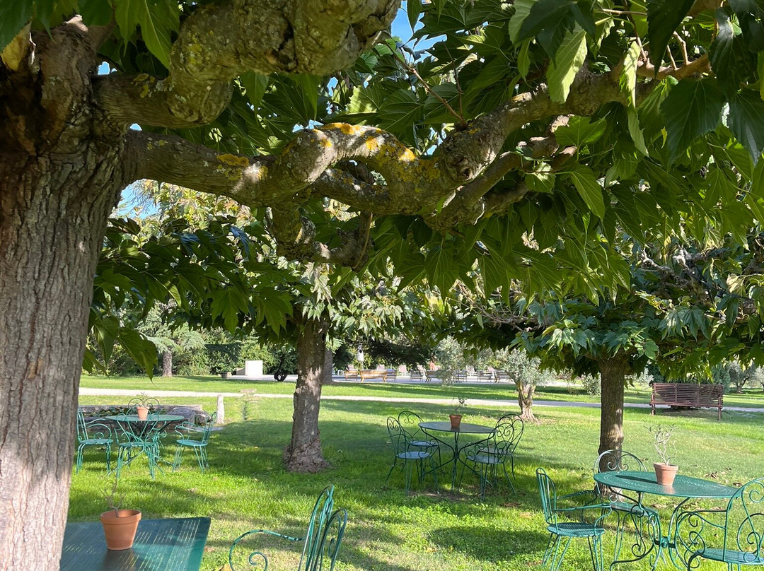 Chateau Saint-Pierre De Mejans-Puyvert必去景点