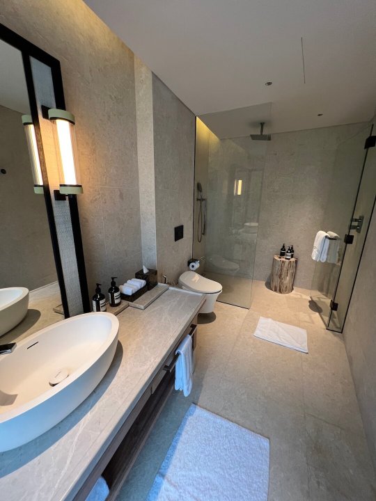 Waldorf Astoria Seychelles Platte Island-浴室