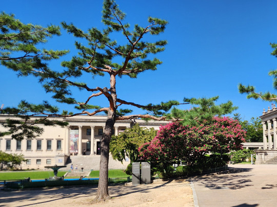Deoksugung Palace-首尔必去景点