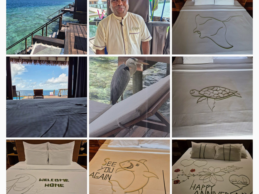 Cinnamon Velifushi Maldives主图