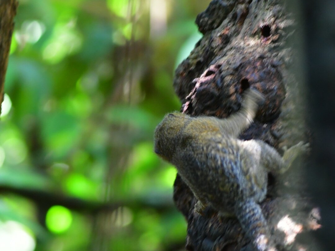 Fundación Maikuchiga-Loreto Mocagua必去景点