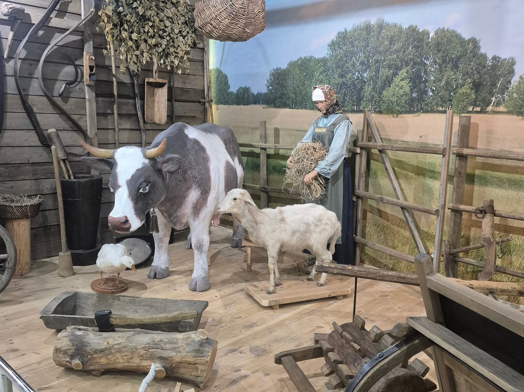 Omsk State Museum of History and Regional Studies-鄂木斯克必去景点