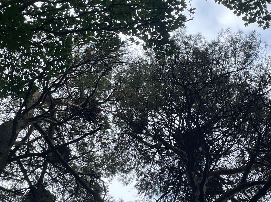 Keswick Canoe and Bushcraft-凯瑟克必去景点