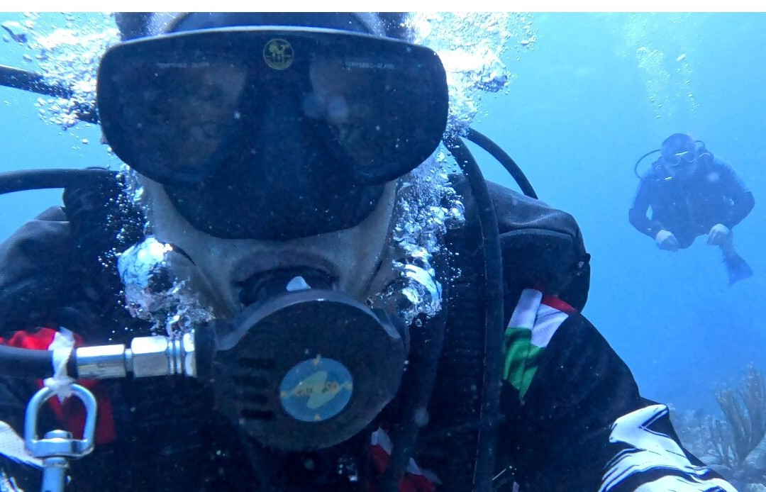 Mandala Divers and Tours-普拉亚德尔卡曼必去景点