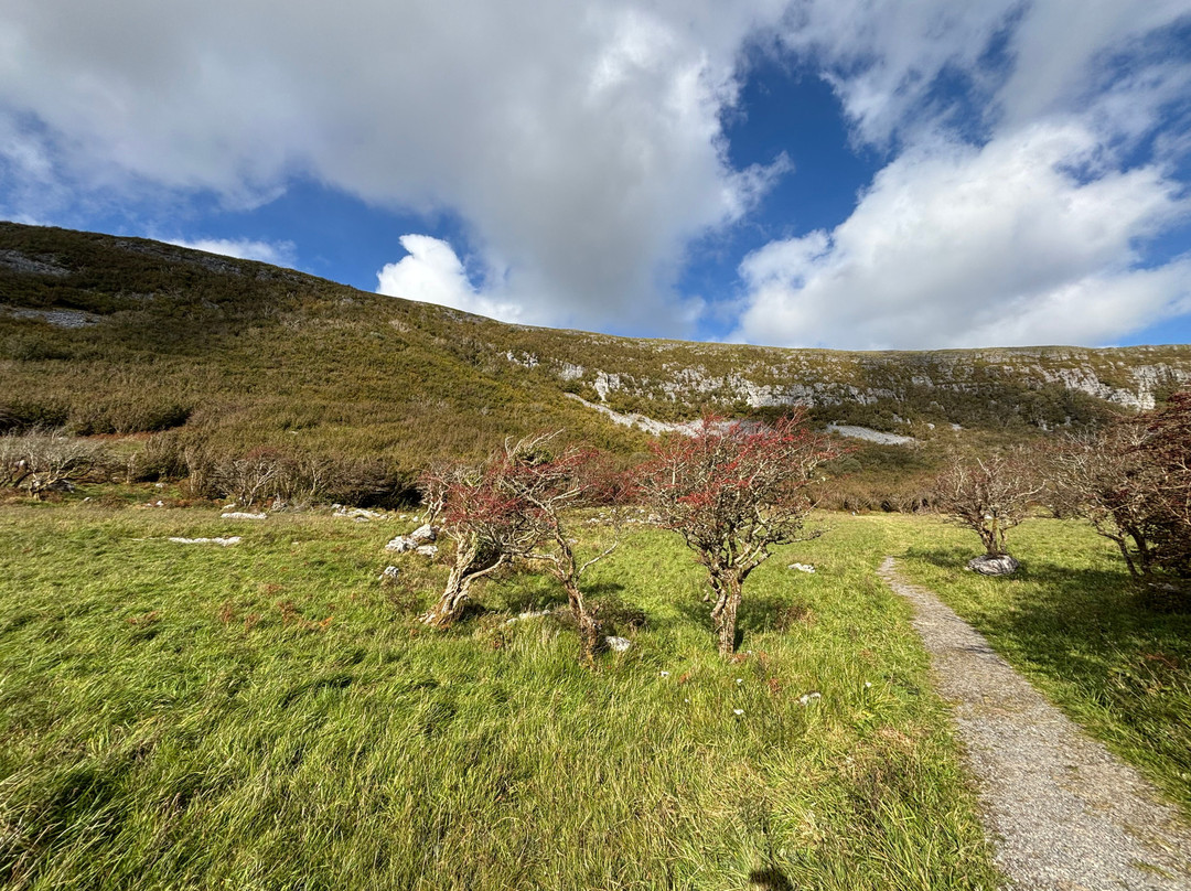 Burren Guided Walks & Hikes-Walking Day Tours-Fanore必去景点