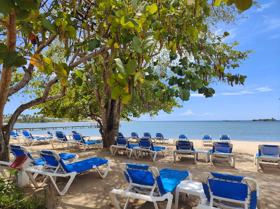 Bahía principe la Romana