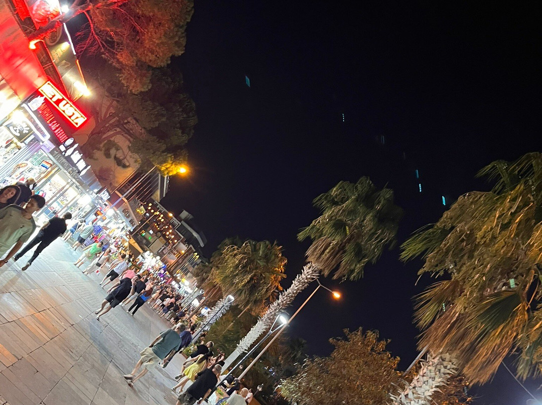 D-Marin Didim Marina-迪迪姆必去景点