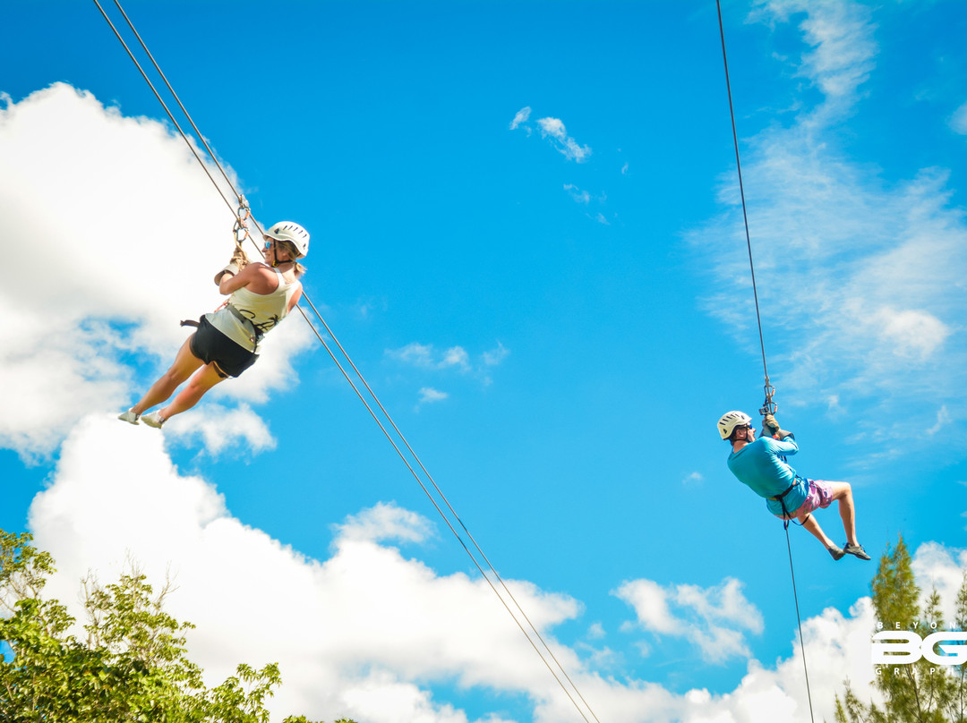 Beyond Graphx-弗里波特必去景点