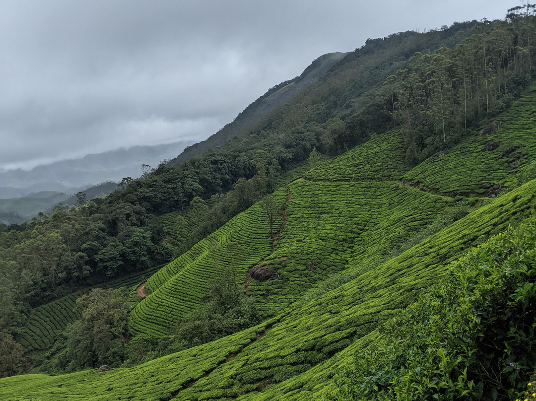 Munnar Hiking Trails-慕那尔必去景点