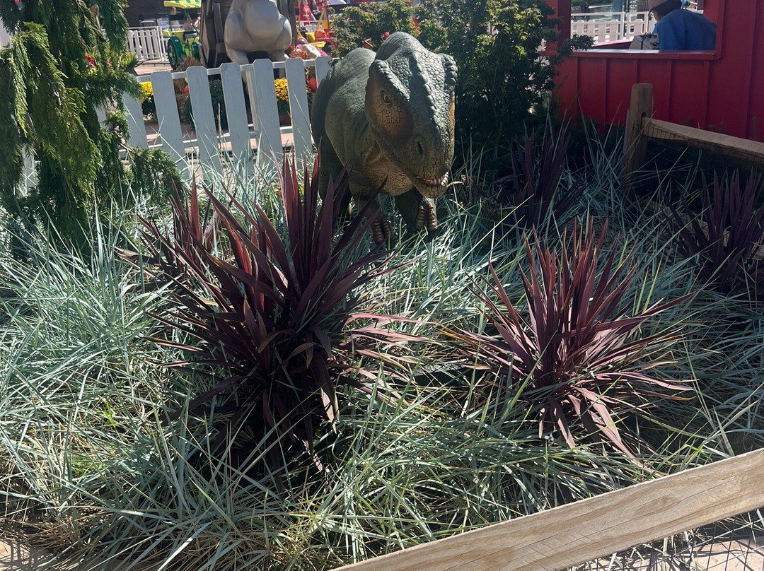 The Island in Pigeon Forge-皮金福奇必去景点