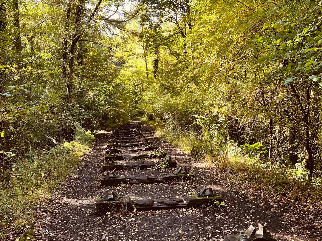 Forest of Dean Sculpture Trail-Coleford必去景点