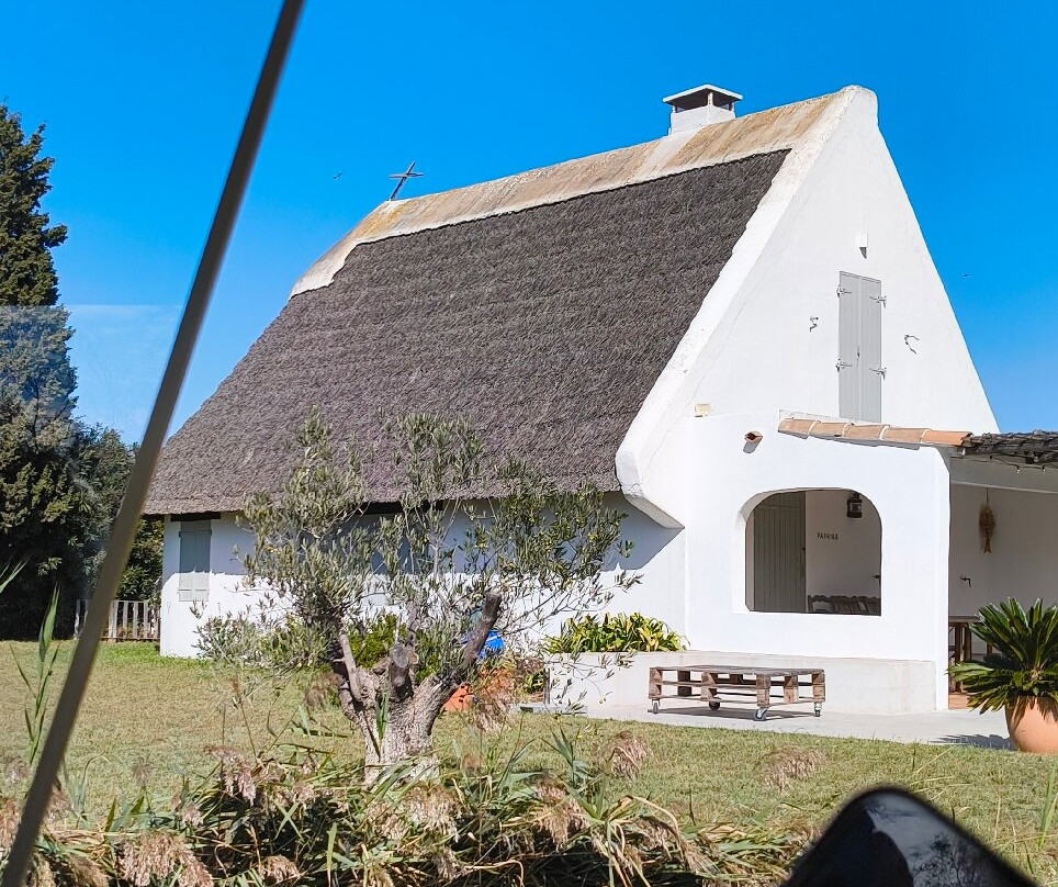 Le Petit Train Camarguais-滨海圣玛丽必去景点