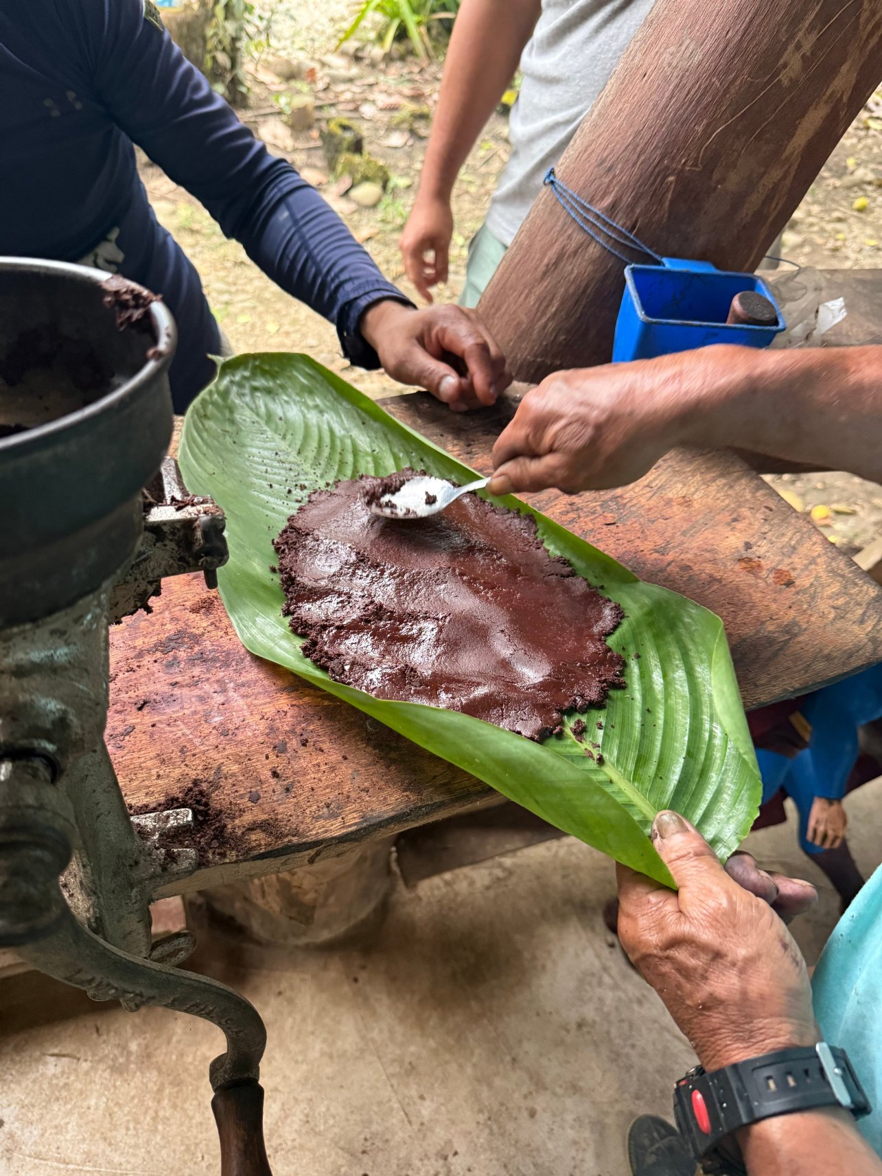 卡萨维尔德生态宾馆-官方