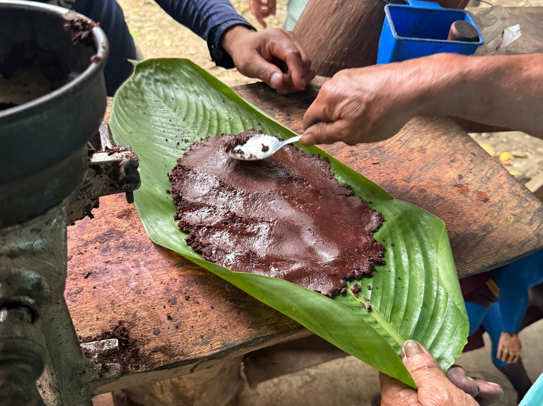 绿色家庭旅馆主图