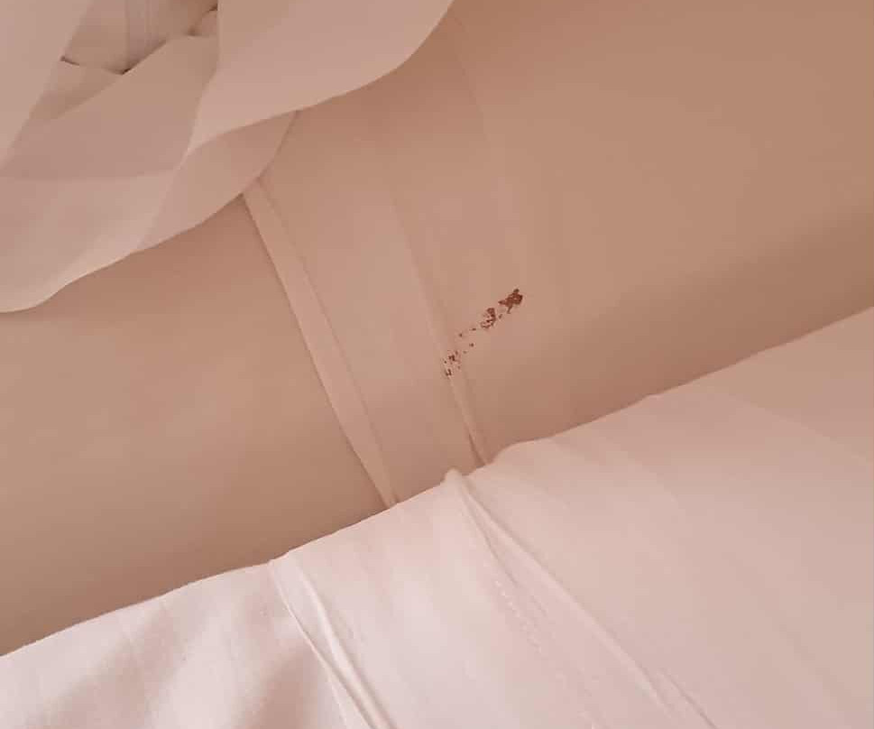 路图雅瑞酒店 - 全包式主图