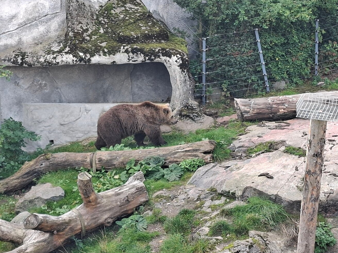 Korkeasaari Zoo-赫尔辛基必去景点