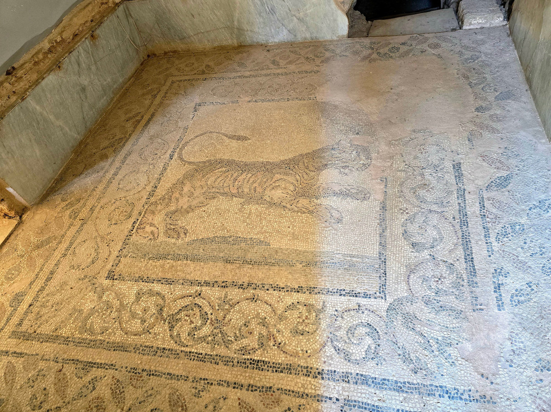 Casa Romana Kos-Kos Town必去景点