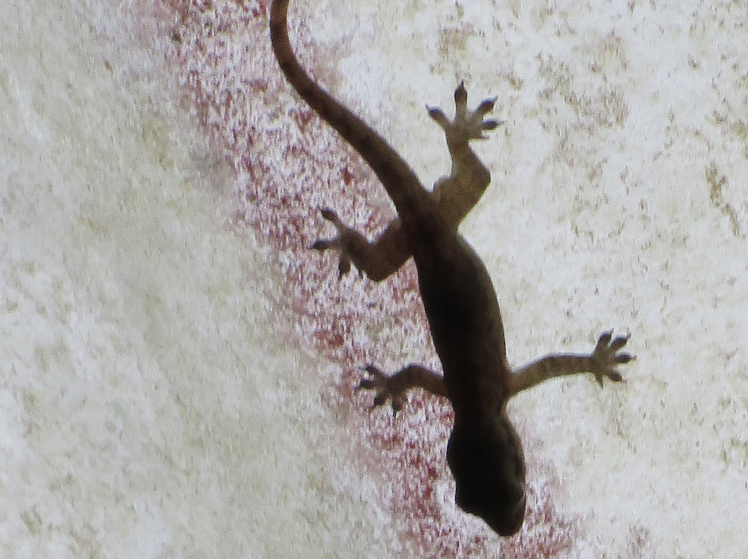 西必洛克自然度假村主图