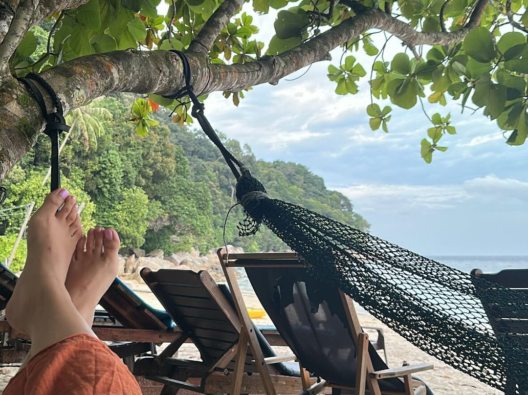 Bubbles Dive Resort主图